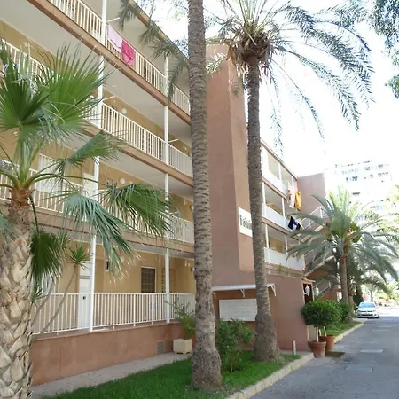 Apartment Falcon *